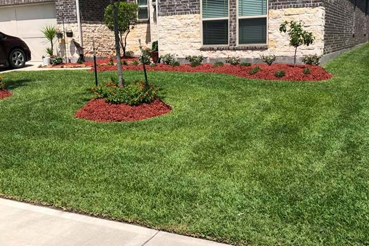Landscaping And Tree Services In Texas, How To Landscape Yard Without Grass In Texas Usa
